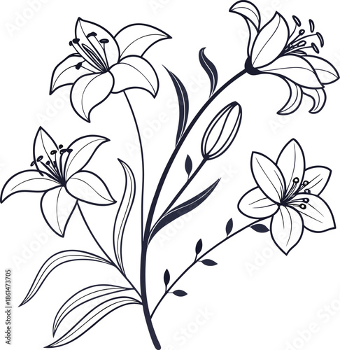 Lily, flower, floral, bloom, nature, blossom, bouquet, spring, garden, art, drawing, sketch, wedding, decoration, petal