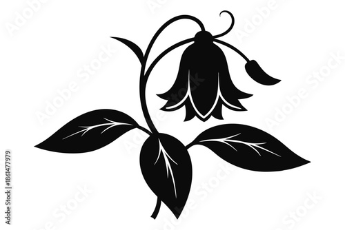 bellflower silhouette line art vector illustration with a white background