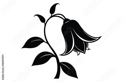 bellflower silhouette line art vector illustration with a white background