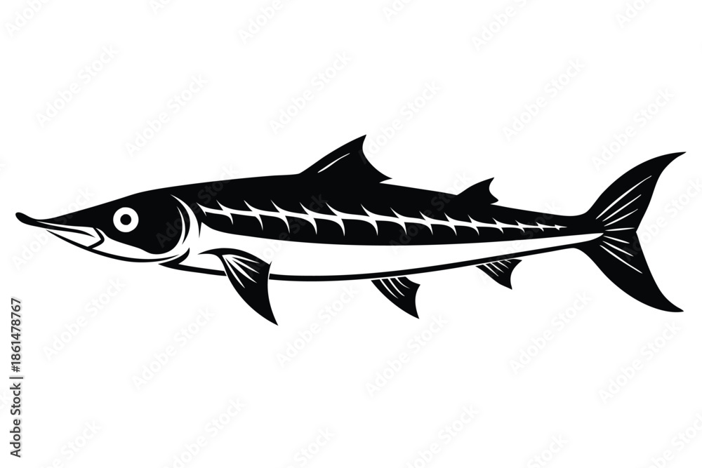 Fototapeta premium barracuda silhouette line art vector illustration with a white background