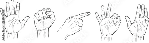 Hand gesture set illustration showing pointing fist open palm okay sign counting fingers line art vector isolated on white background