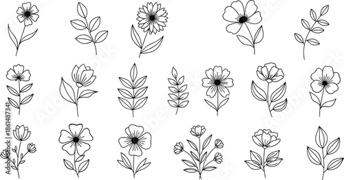 Black and white line of various flowers and leaves on white background line black and white