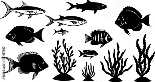 sea animals, fish, algae set silhouette ,on white background, vector
