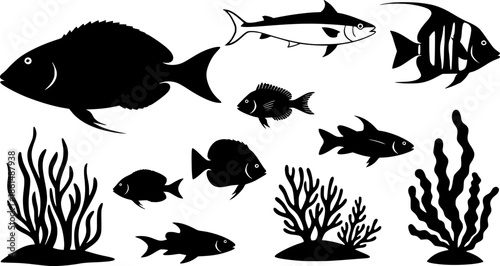 sea animals, fish, algae set silhouette ,on white background, vector
