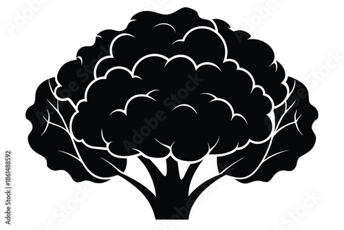 cauliflower silhouette line art vector illustration with a white background