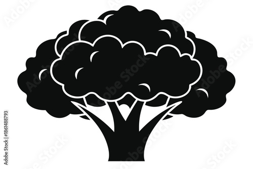 cauliflower silhouette line art vector illustration with a white background