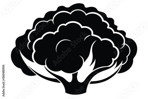 cauliflower silhouette line art vector illustration with a white background