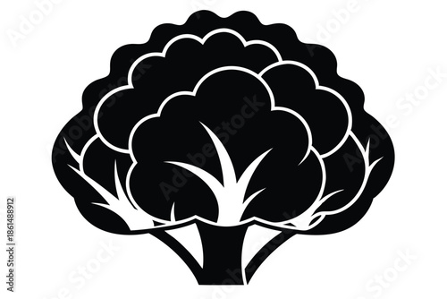 cauliflower silhouette line art vector illustration with a white background