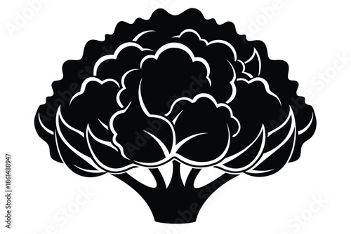 cauliflower silhouette line art vector illustration with a white background
