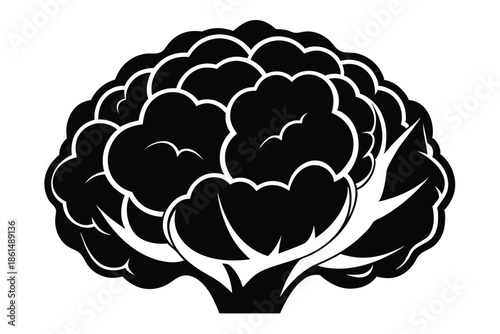 cauliflower silhouette line art vector illustration with a white background