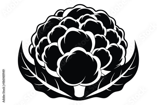 cauliflower silhouette line art vector illustration with a white background
