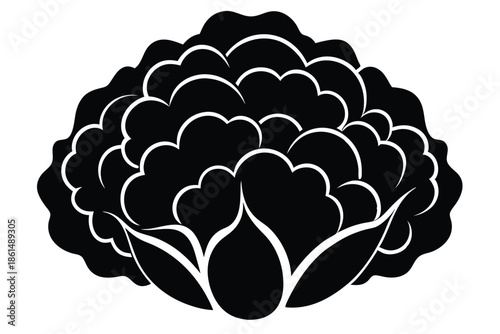 cauliflower silhouette line art vector illustration with a white background