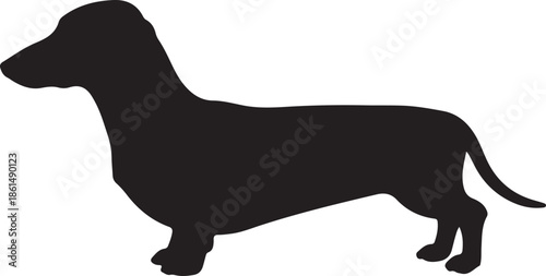 Silhouette dachshund dog minimalist animal illustration isolated on white background