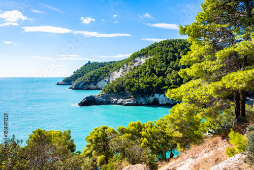 Photos Bright turquoise bay along the Gargano coast framed by lush Mediterranean pine t