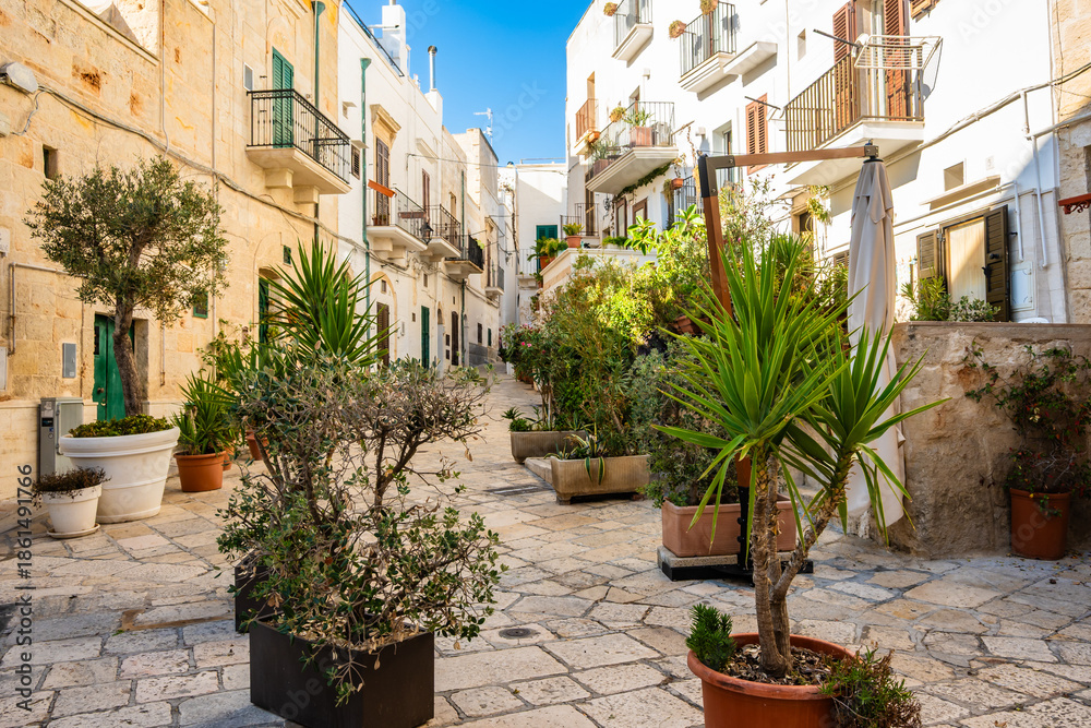 custom made wallpaper toronto digitalPeaceful alleyway with potted plants and traditional Mediterranean architecture in Locorotondo town, Apulia, Italy