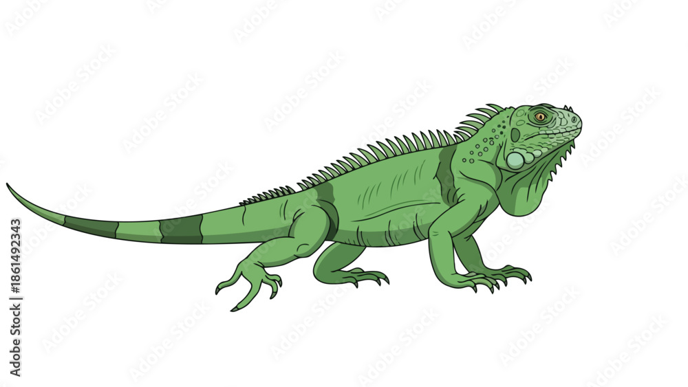Obraz premium Vibrant green iguana illustration, showcasing intricate scales, prominent spiny crest, powerful reptilian form, isolated on a white background for
