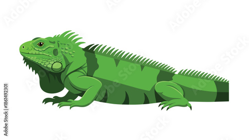 Vibrant green iguana vector illustration showcasing a captivating tropical reptile's full body profile in an artistic and detailed manner, perfect