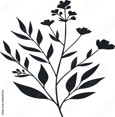 Minimal feminine botanical floral branch in silhouette style. Hand drawn wedding herb, minimalistic flowers with elegant leaves. Botanical rustic trendy greenery vector.