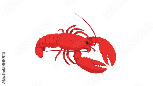 A vibrant red common lobster cartoon illustration, depicted with prominent claws and segmented tail, against a pristine white backdrop, ideal for