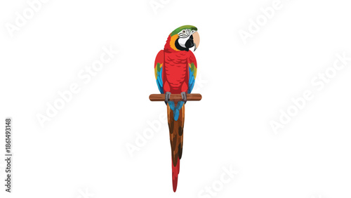 Vibrant tropical macaw illustration perched majestically on a sturdy branch showcasing its stunning colorful plumage a beautiful and exotic avian