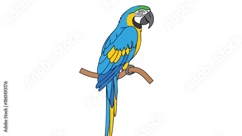 A striking illustration of a blue and yellow parrot with brilliant plumage, perched calmly on a subtle branch, rendered with clean lines on a pure