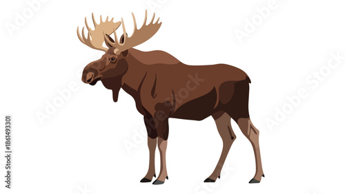 A magnificent brown moose illustration showcasing its impressive rack of antlers standing gracefully on a pure white background in a detailed