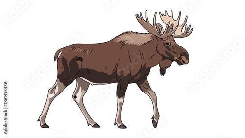 A majestic moose illustration, featuring a robust animal with prominent antlers, rendered in a clean, stylized graphic art form against a pure white