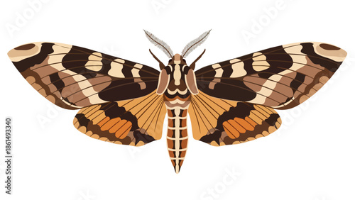 Vector illustration of a majestic moth with intricate geometric wing patterns in warm earthy tones