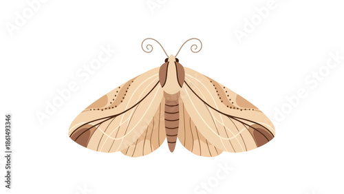 A charming minimalist illustration of a delicate nocturnal insect showcasing intricate wing patterns and earthy tones against a pristine white