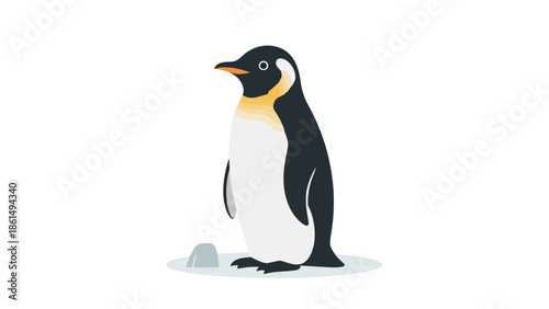 Charming flat design illustration of an emperor penguin with sleek black, white, and golden plumage. Standing calmly on a subtle icy ground,