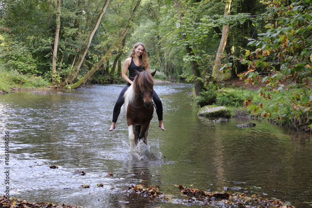 Fototapeta premium Attraktive junge Frau reitet auf Ihrem Pferd durch kleinen Fluss