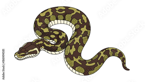 Stylized depiction of a python with intricate camouflage patterns against a clean white backdrop, highlighting its reptilian beauty for various