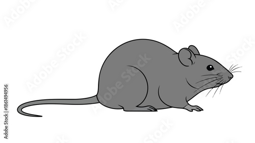 A charming simple gray cartoon mouse illustration captured in a clean vector style against a pristine white background perfect for various design