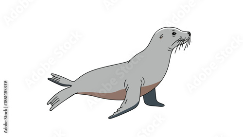 Charming marine mammal illustration showcasing a graceful grey sea lion on a clean white backdrop