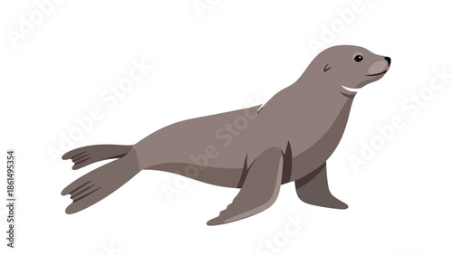 Sleek gray seal illustration, a friendly marine mammal with clean lines on white background