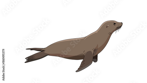 Simplified vector illustration of brown marine pinniped, sea lion or a seal, presented with clean lines and a peaceful posture on a white background