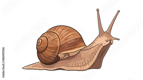 A whimsical earth gastropod illustration, showcasing its intricate spiraled domicile and unique locomotive grace, a testament to nature's diverse