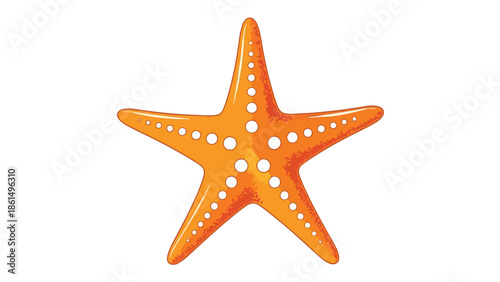 Vibrant orange starfish illustration with five distinct arms and white textured dots isolated on a clean white background evoking oceanic allure and
