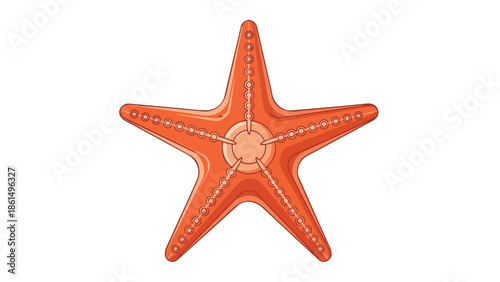 Vibrant orange five-armed sea star illustration on white background, showcasing intricate marine life form.