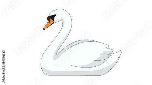 Elegant white swan illustration, showcasing a graceful curved neck and vibrant orange beak. This vector art embodies serenity, purity, and natural