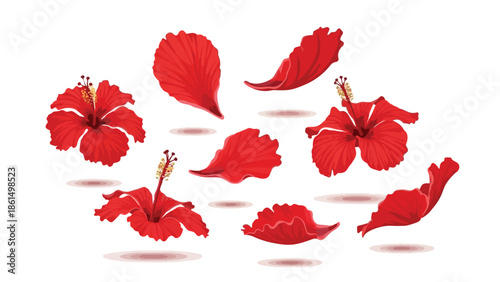 Vibrant red hibiscus blossoms and delicate petals scattered gracefully on a pristine white background. Tropical floral elements.