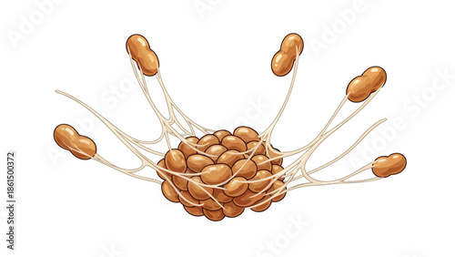 Microscopic biological cluster with a dense central core and radiating cell-like structures connected by delicate filaments depicting intricate