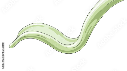 Dynamic pale green fluid motion graphic element with elegant curves and stylized outlines perfect for various modern design projects. Vibrant