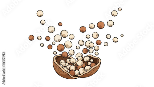 An energetic vector illustration capturing a burst of round, edible seeds or pearls erupting from a split, textured pod, scattering in mid-air on