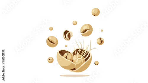 Stylized coffee beans and a sprouting seed pod illustration for natural growth concepts