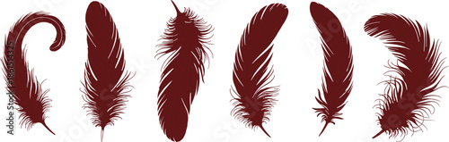 Vintage feather silhouette illustration set featuring detailed hand drawn plumage shapes, perfect for logos, tattoos, branding, boho designs, posters, and decorative graphic projects