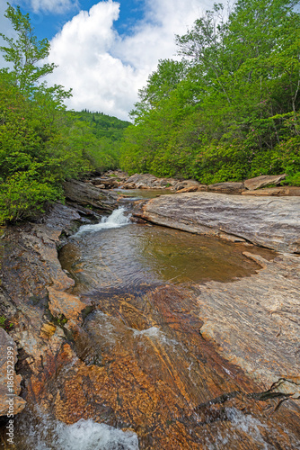 Mountain Stream Rushing Through a Verdant Forest