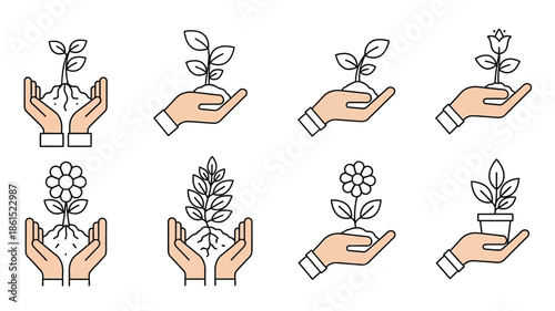 Stages of plant growth illustrated with hands nurturing seedlings and blossoms