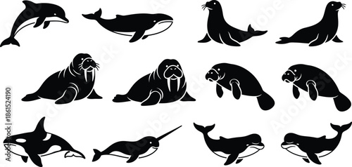 black silhouettes of animals