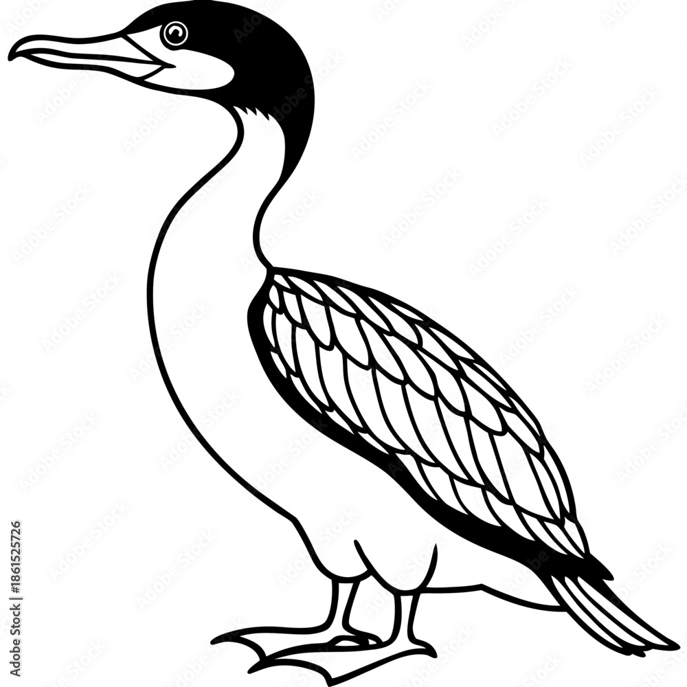 Fototapeta premium Flying Cormorant Illustration
